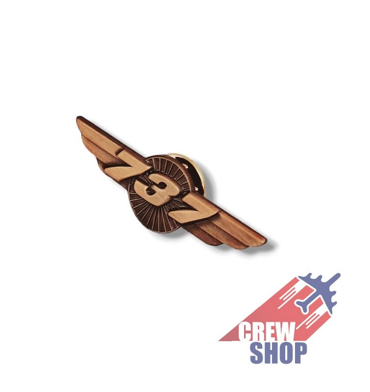 B737 PIN